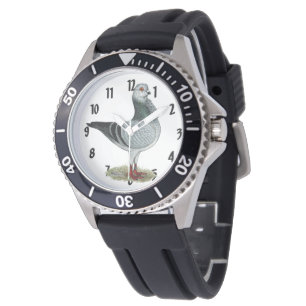 Italian Owl Grizzle Pigeon Watch