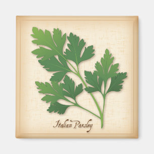 Italian Parsley Herb Magnet