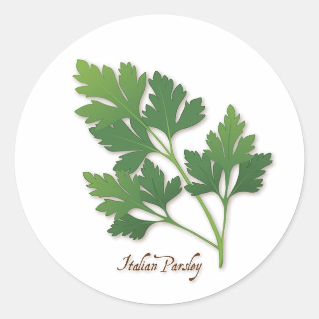 Italian Parsley Round Sticker (Front)