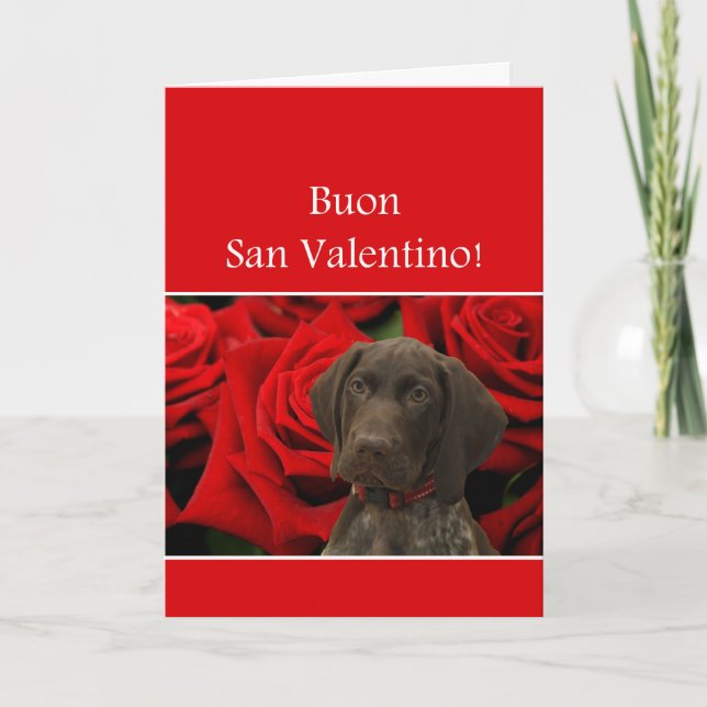 Italian San Valentino Glossy Grizzly Valentine Holiday Card (Front)