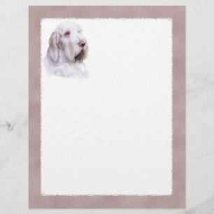 Italian Spinone Italiano