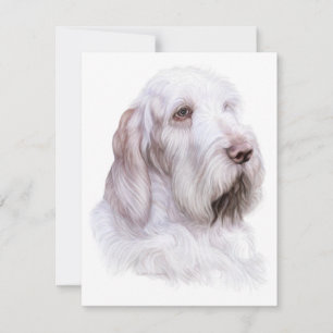 Italian Spinone Italiano Invitation