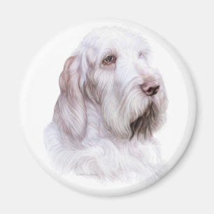 Italian Spinone Italiano Magnet