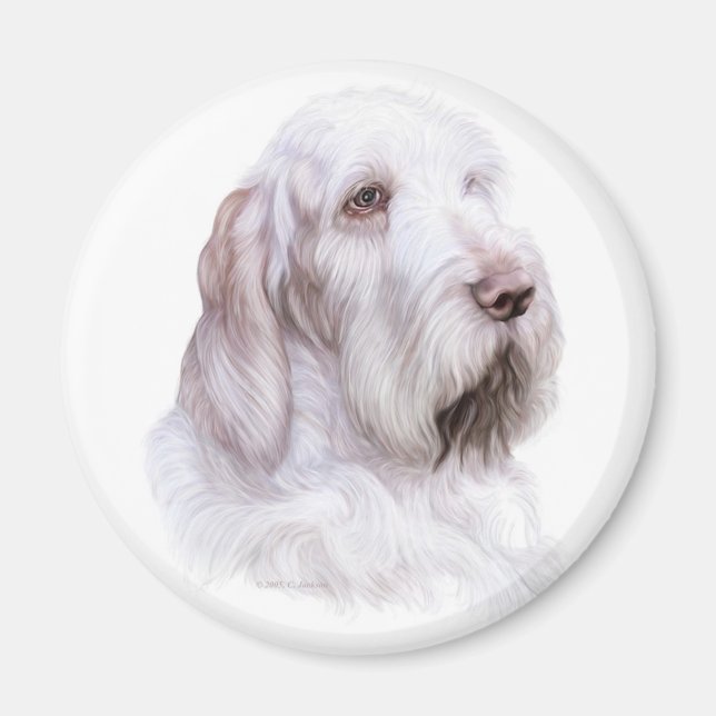 Italian Spinone Italiano Magnet (Front)
