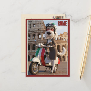 Italian Spinone Rome Postcard