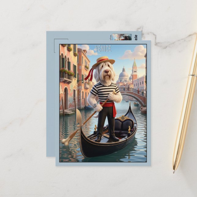 Italian Spinone Venice Postcard (Front/Back In Situ)