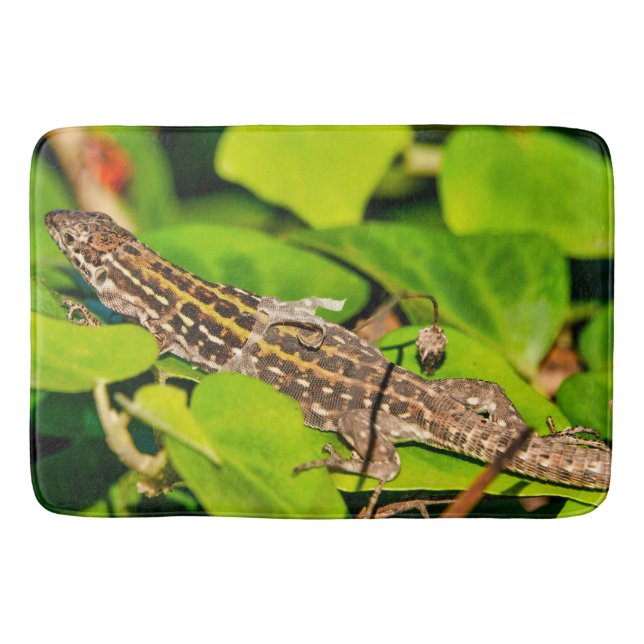 Italian wall lizard bath mat (Front)