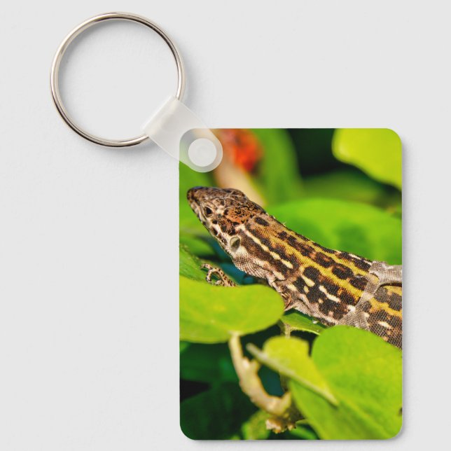 Italian wall lizard key ring (Front)