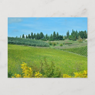 Italian Wine Country Postcard