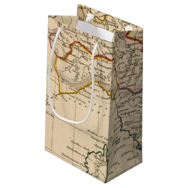 Italy 20 small gift bag (Back Angled)