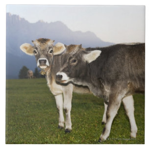 Italy, Alto Adige Ceramic Tile