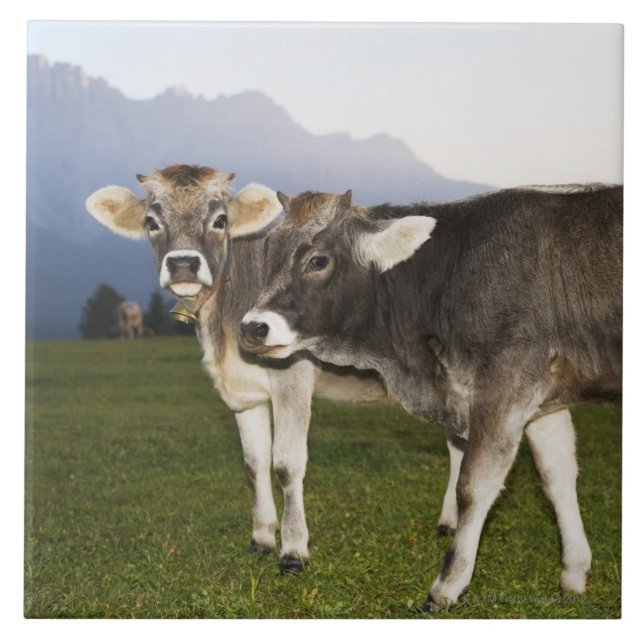 Italy, Alto Adige Ceramic Tile (Front)