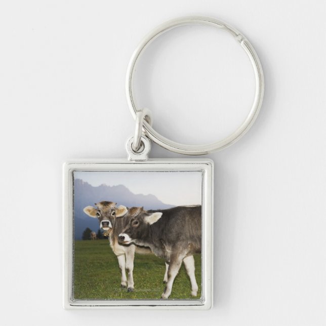 Italy, Alto Adige Key Ring (Front)