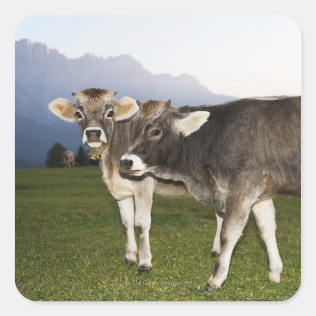 Italy, Alto Adige Square Sticker (Front)