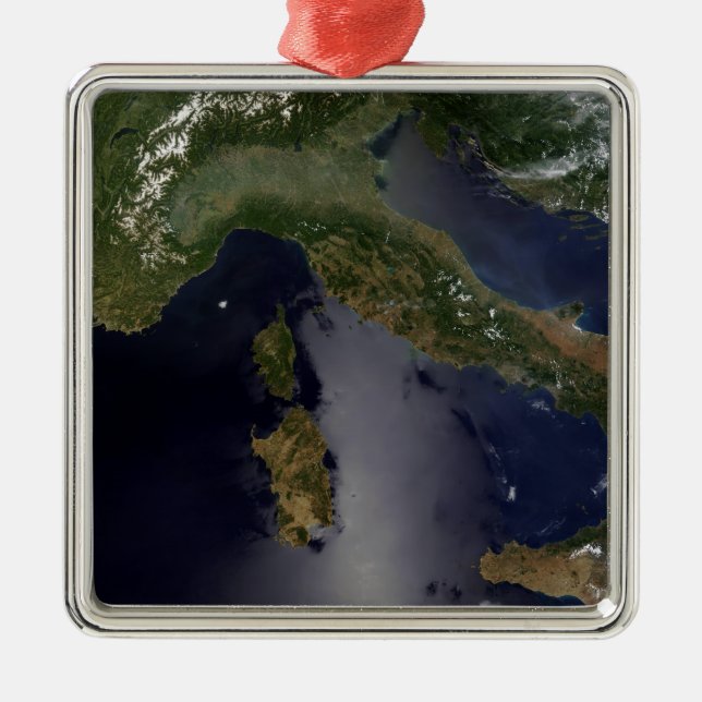 Italy and Southeast France Metal Tree Decoration (Front)