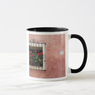 Italy, Asciano, Window Boxes with Fresh Spring Mug