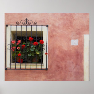 Italy, Asciano, Window Boxes with Fresh Spring Poster