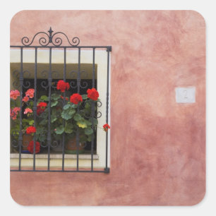 Italy, Asciano, Window Boxes with Fresh Spring Square Sticker