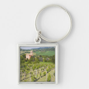 Italy, Bologna, View through Vineyard to Chiesa Key Ring