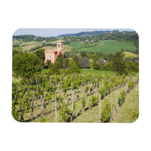 Italy, Bologna, View through Vineyard to Chiesa Magnet