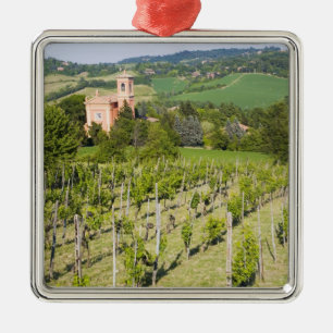Italy, Bologna, View through Vineyard to Chiesa Metal Ornament