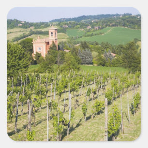 Italy, Bologna, View through Vineyard to Chiesa Square Sticker