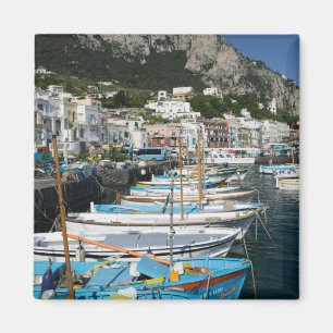 ITALY, Campania, (Bay of Naples), CAPRI: Marina Magnet