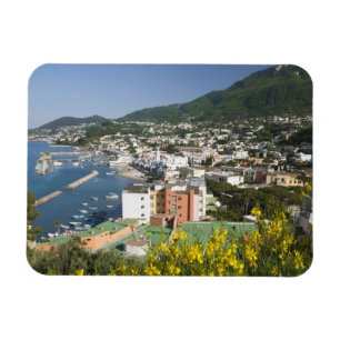 ITALY, Campania, (Bay of Naples), ISCHIA, LACCO Magnet