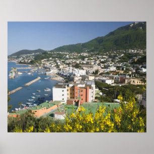 ITALY, Campania, (Bay of Naples), ISCHIA, LACCO Poster