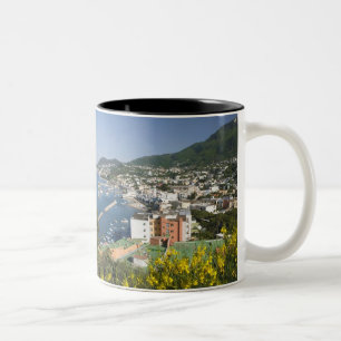 ITALY, Campania, (Bay of Naples), ISCHIA, LACCO Two-Tone Coffee Mug