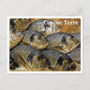 Italy CINQUE TERRE - sea bream fish - Postcard