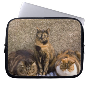 Italy, Cinque Terre, Vernazza. Three cats Laptop Sleeve