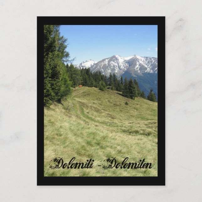Italy, Dolomites Postcard (Front)