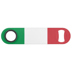 Italy Flag