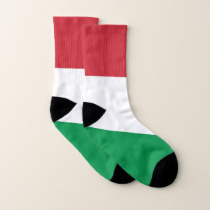 Italy Flag Socks