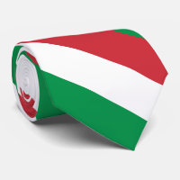 Italy Flag