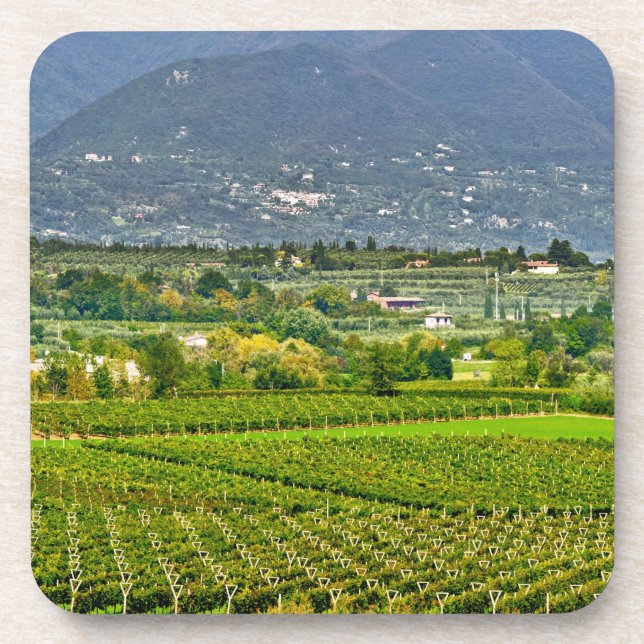 Italy, Lake Garda. The shores of Lake Garda are Coaster (Front)