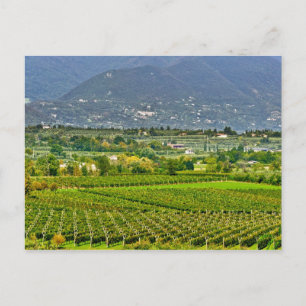 Italy, Lake Garda. The shores of Lake Garda are Postcard