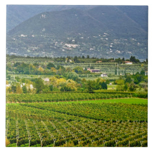 Italy, Lake Garda. The shores of Lake Garda are Tile