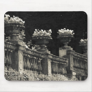 Italy, Lecco Province, Varenna. Lakeside Mouse Pad