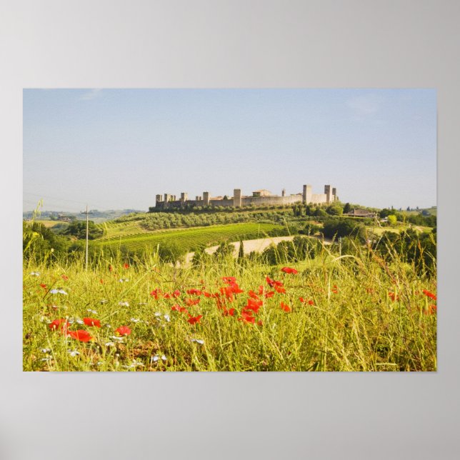 Italy, Monteriggioni, Field View of Poster (Front)