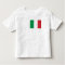 Italy National World Flag
