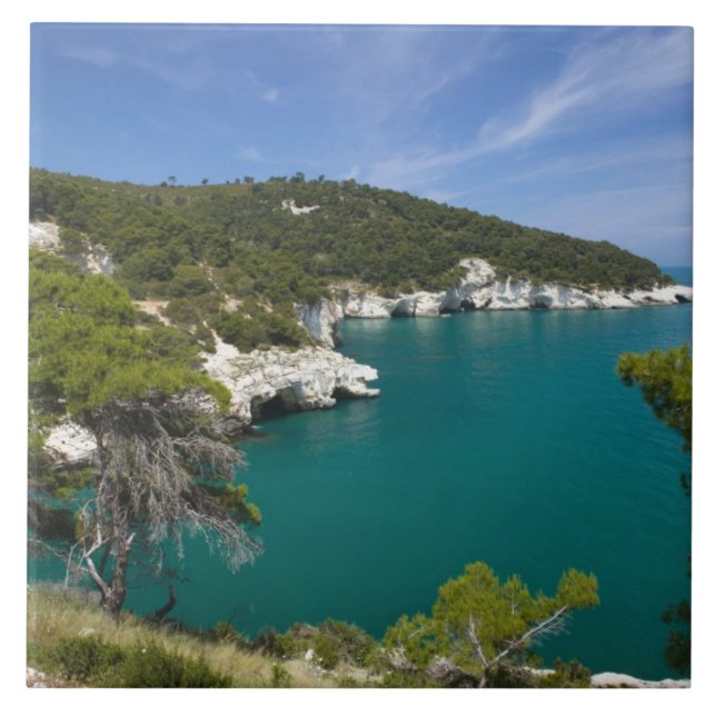 Italy, Puglia, Promontorio del Gargano, Testa Ceramic Tile (Front)