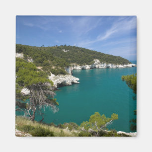 Italy, Puglia, Promontorio del Gargano, Testa Magnet