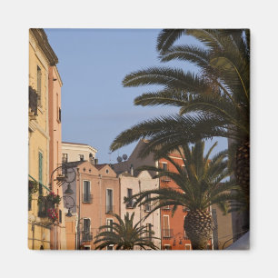 Italy, Sardinia, Cagliari. Buildings and palms Magnet