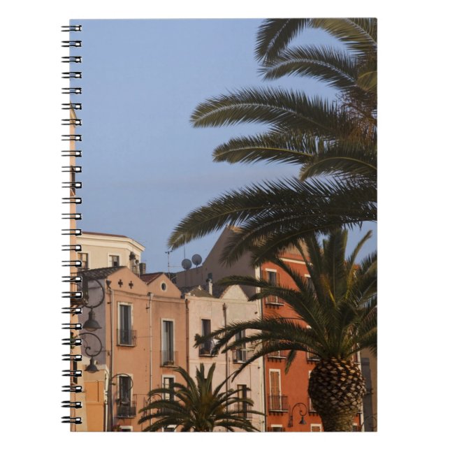 Italy, Sardinia, Cagliari. Buildings and palms Notebook (Front)