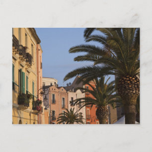 Italy, Sardinia, Cagliari. Buildings and palms Postcard