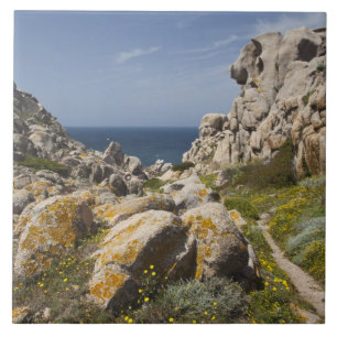 Italy, Sardinia, Santa Teresa Gallura. Capo 2 Ceramic Tile