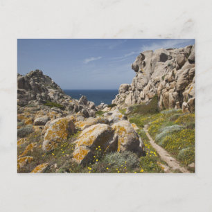 Italy, Sardinia, Santa Teresa Gallura. Capo 2 Holiday Postcard