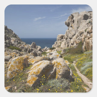 Italy, Sardinia, Santa Teresa Gallura. Capo 2 Square Sticker